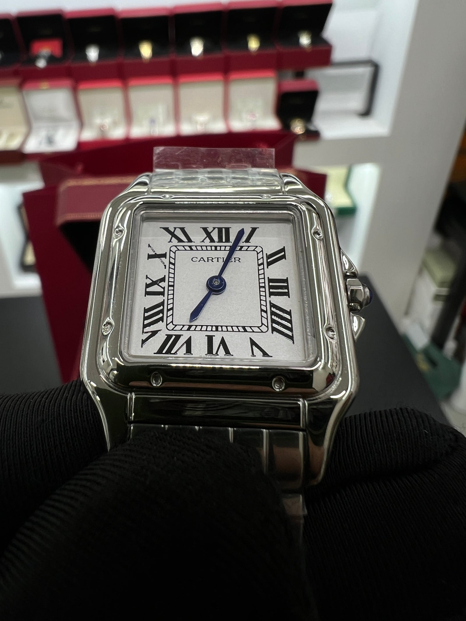 Panthère silver Model Stainless Steel