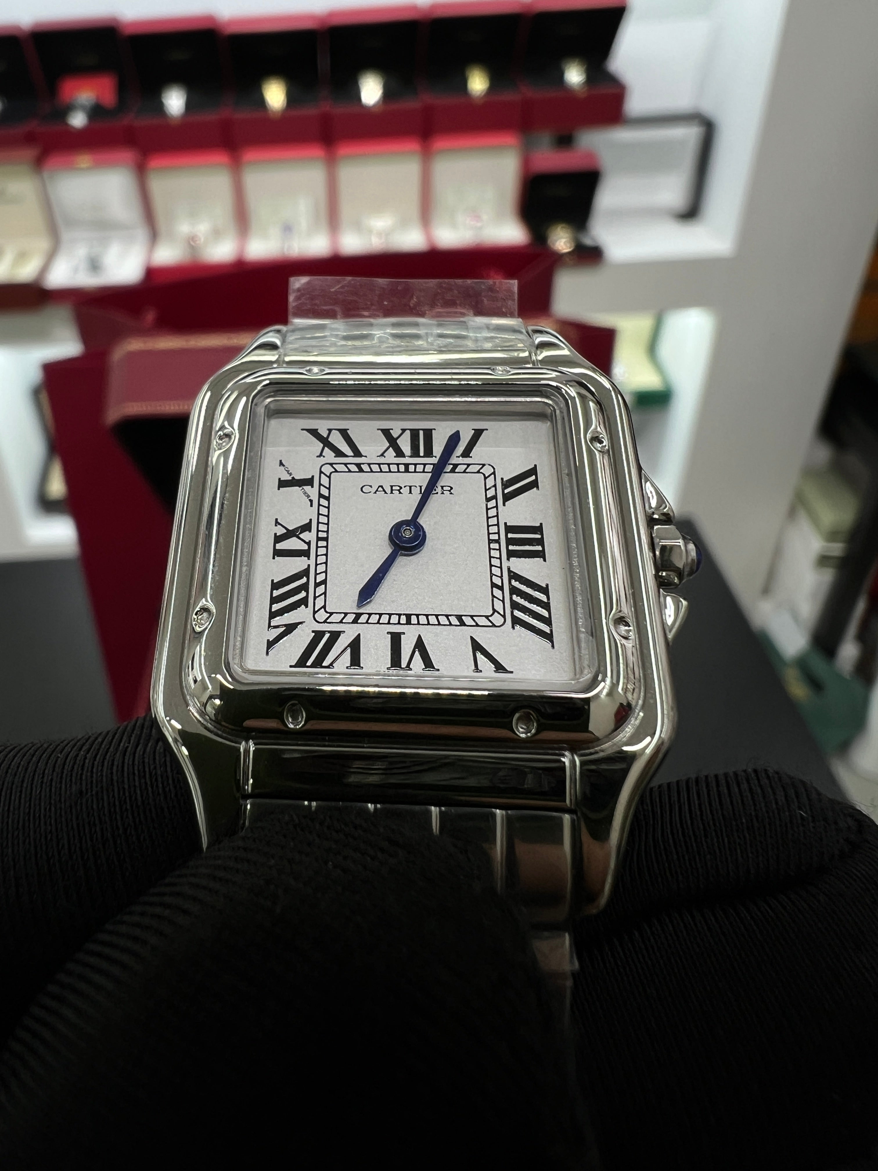 Panthère silver Model Stainless Steel