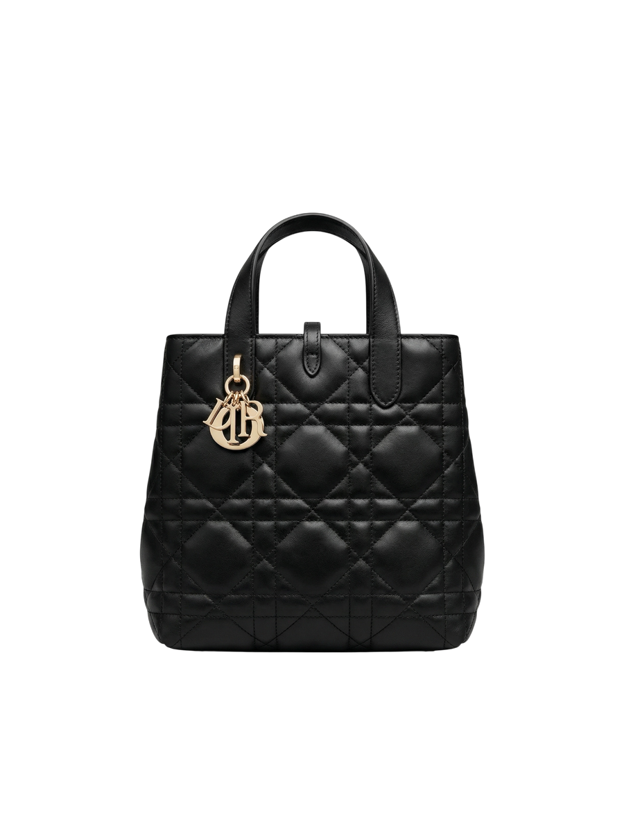 Medium Toujours Bag