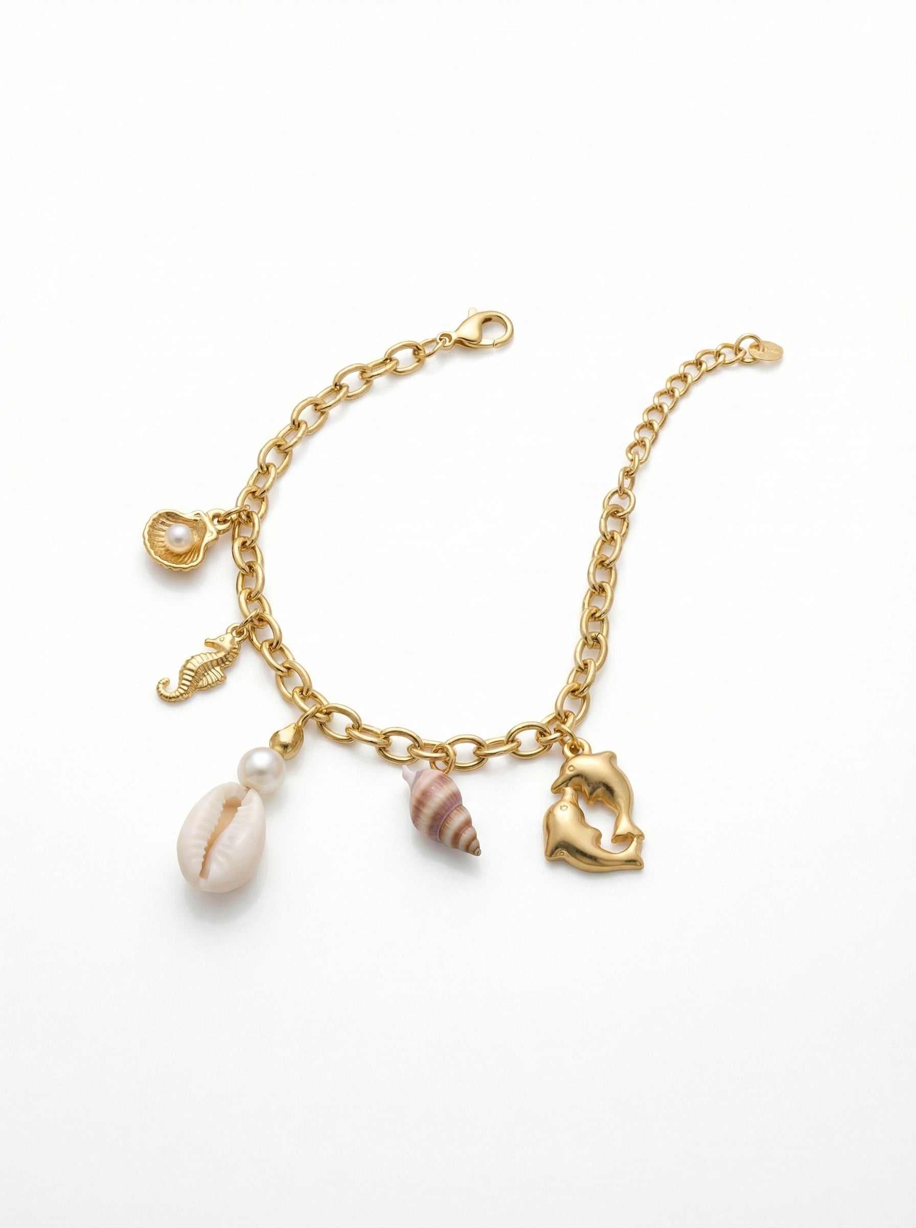 انسيال قرابيج البحر3