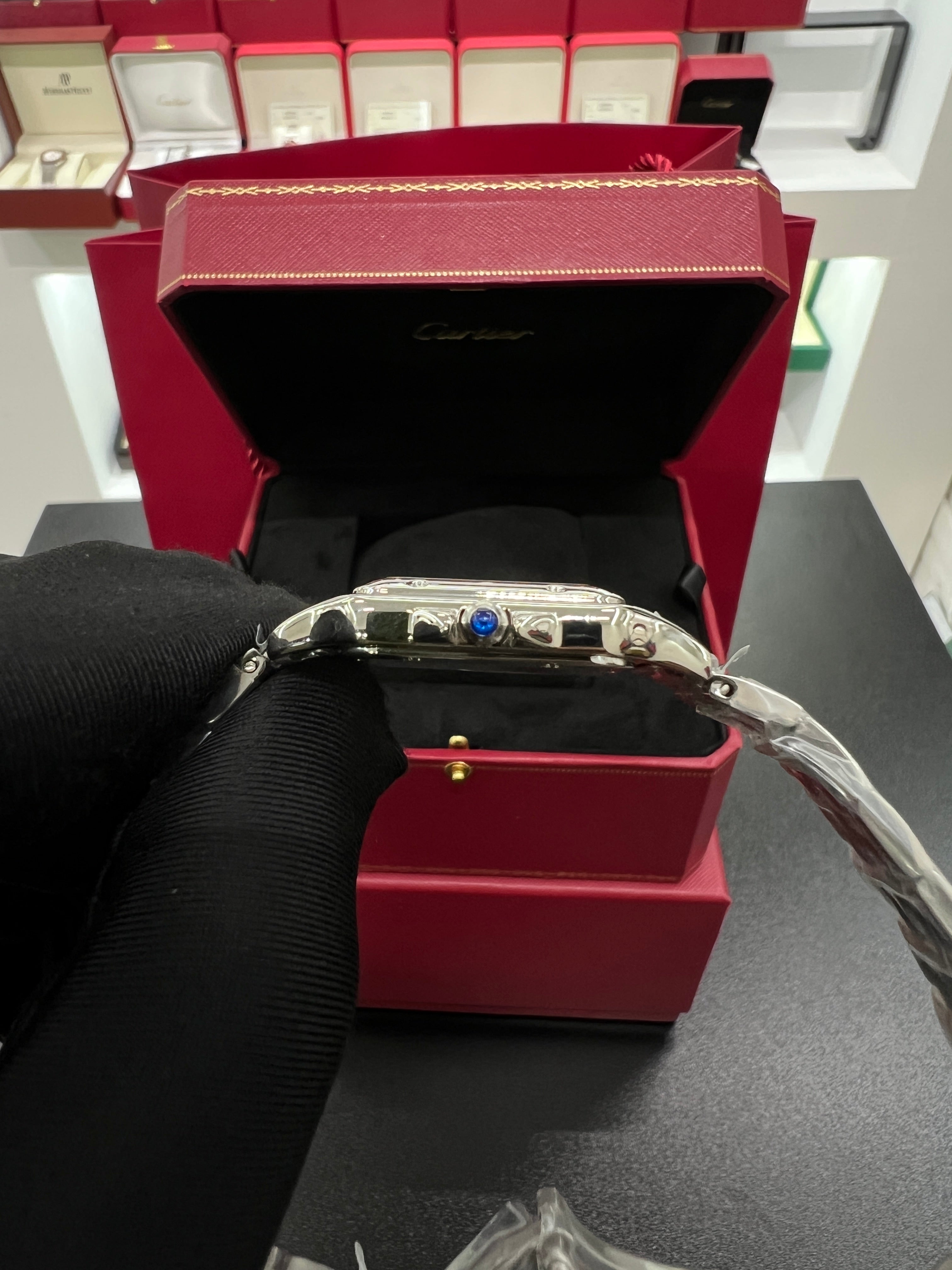 Panthère silver Model Stainless Steel