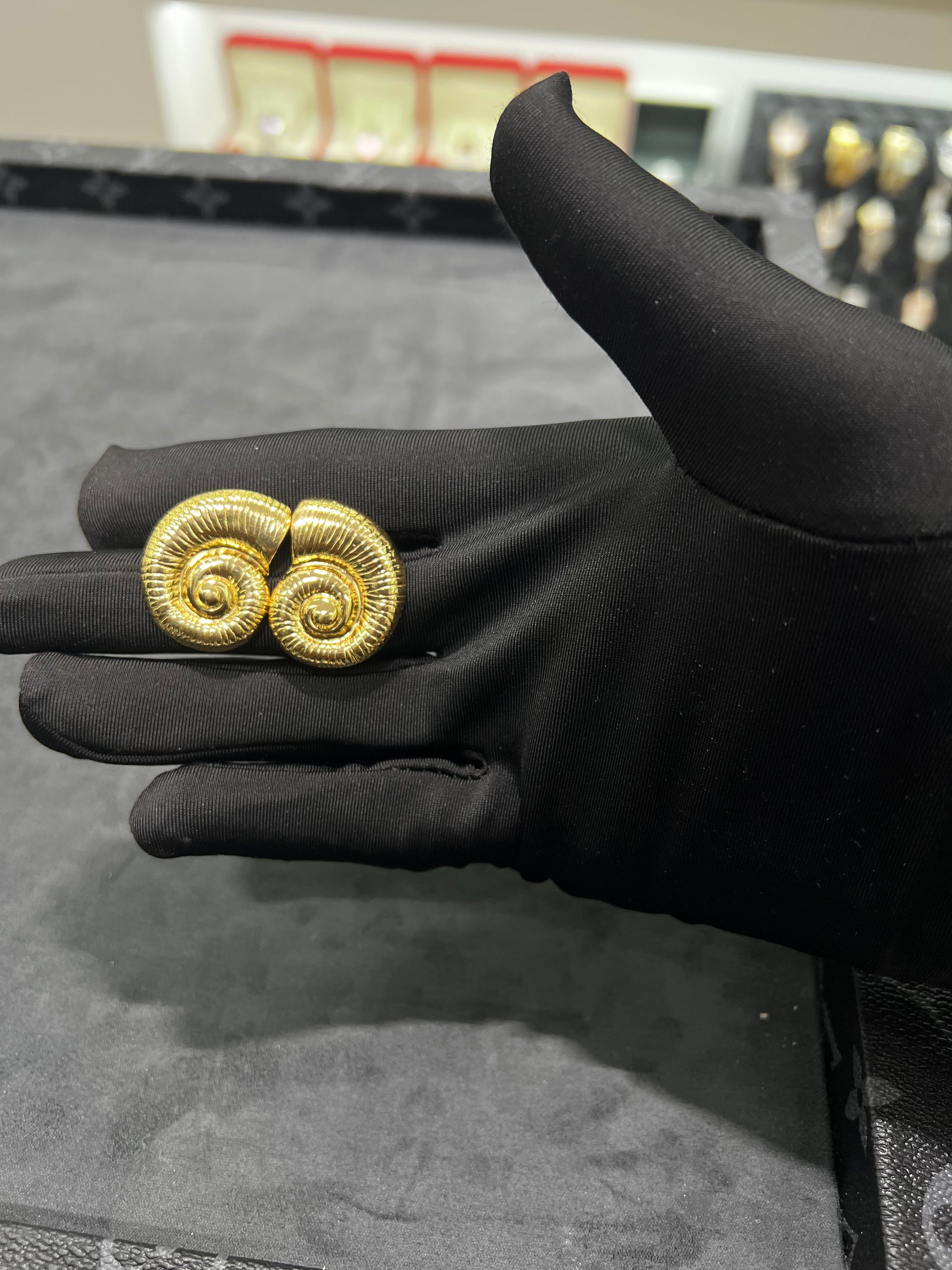 أقراط أذن القوقعه