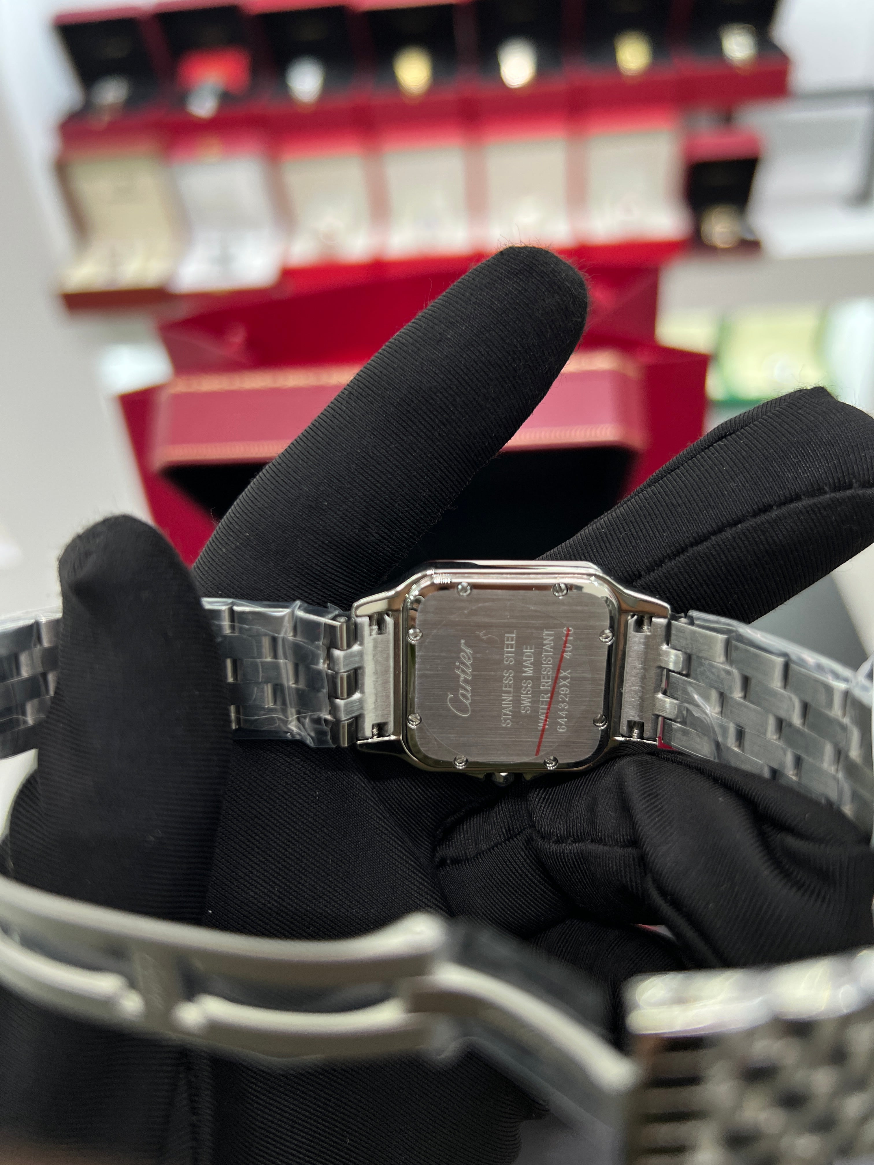 Panthère silver Model Stainless Steel