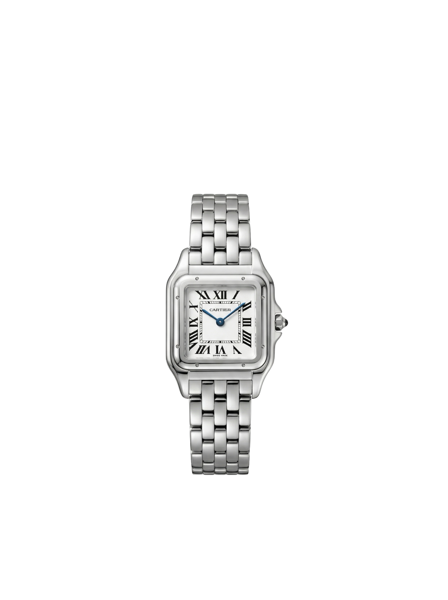 Panthère silver Model Stainless Steel