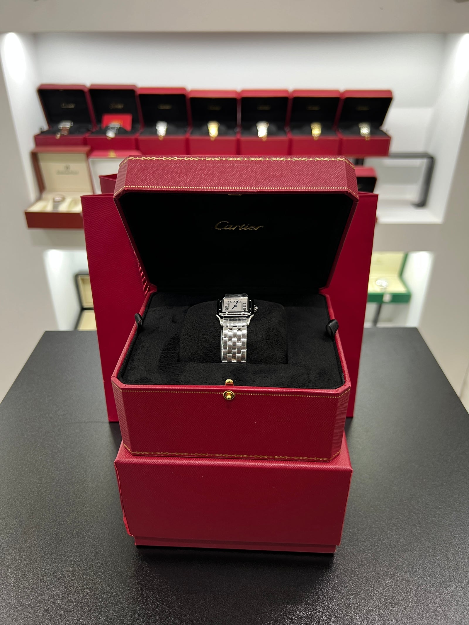 Panthère silver Model Stainless Steel