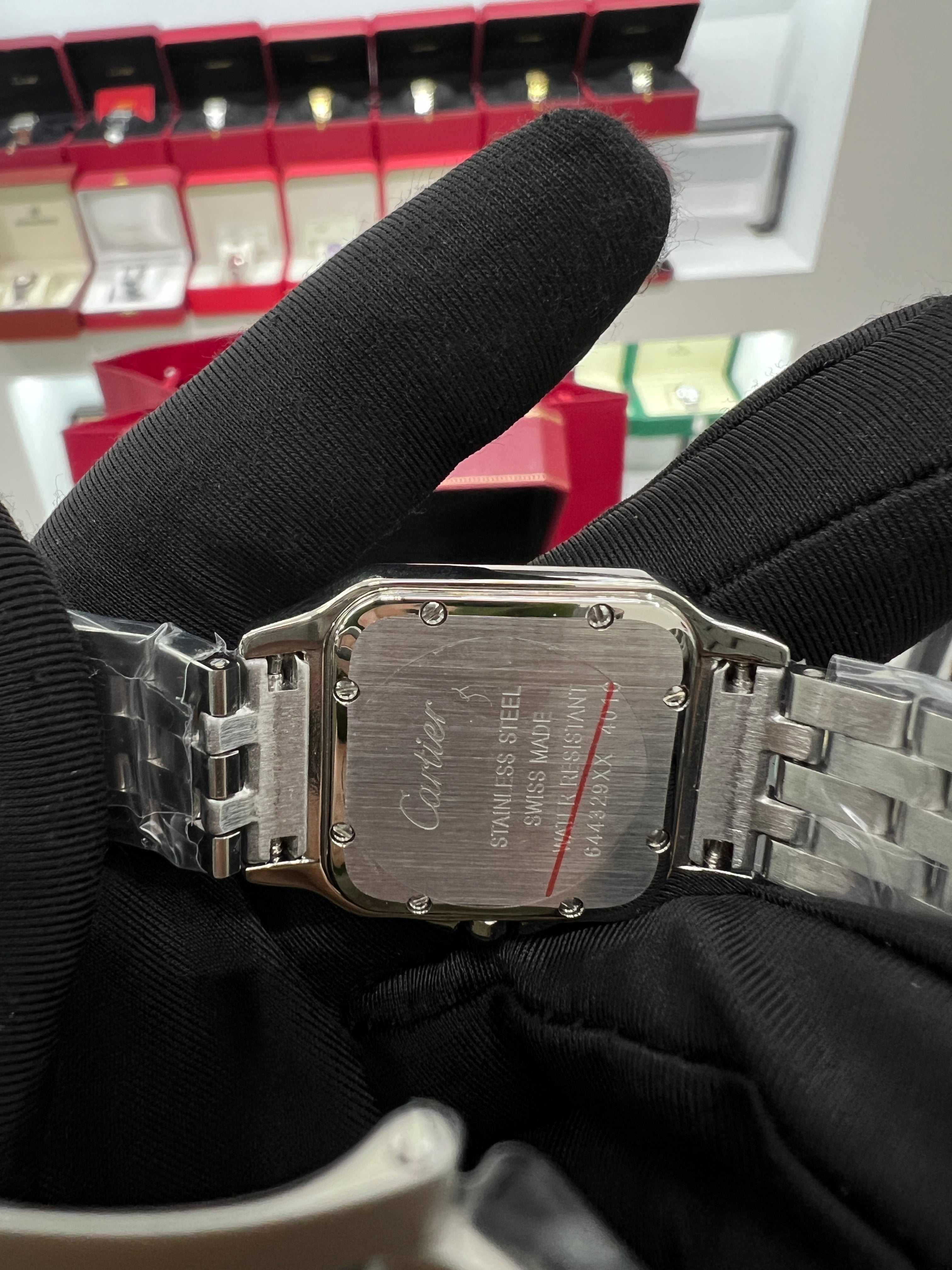 Panthère silver Model Stainless Steel