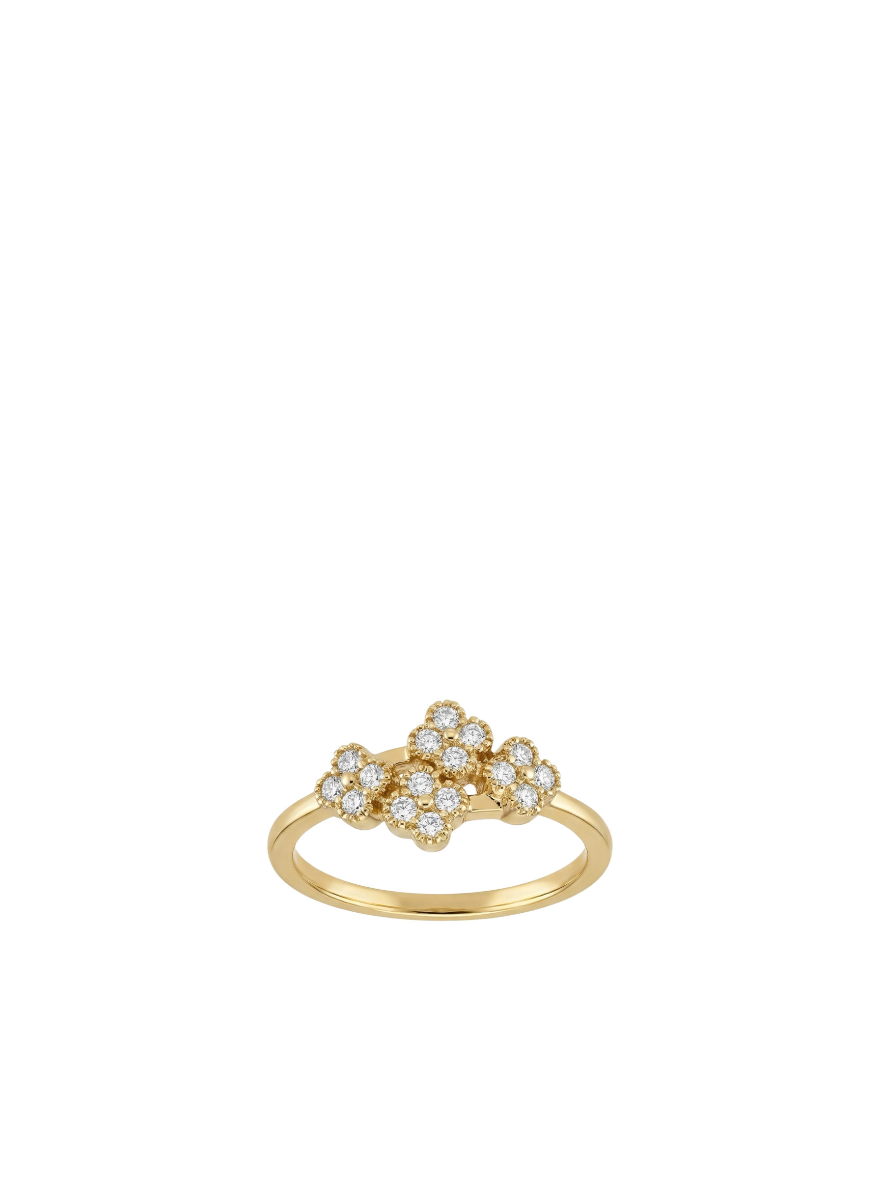 خاتم الحلقات الاربعه