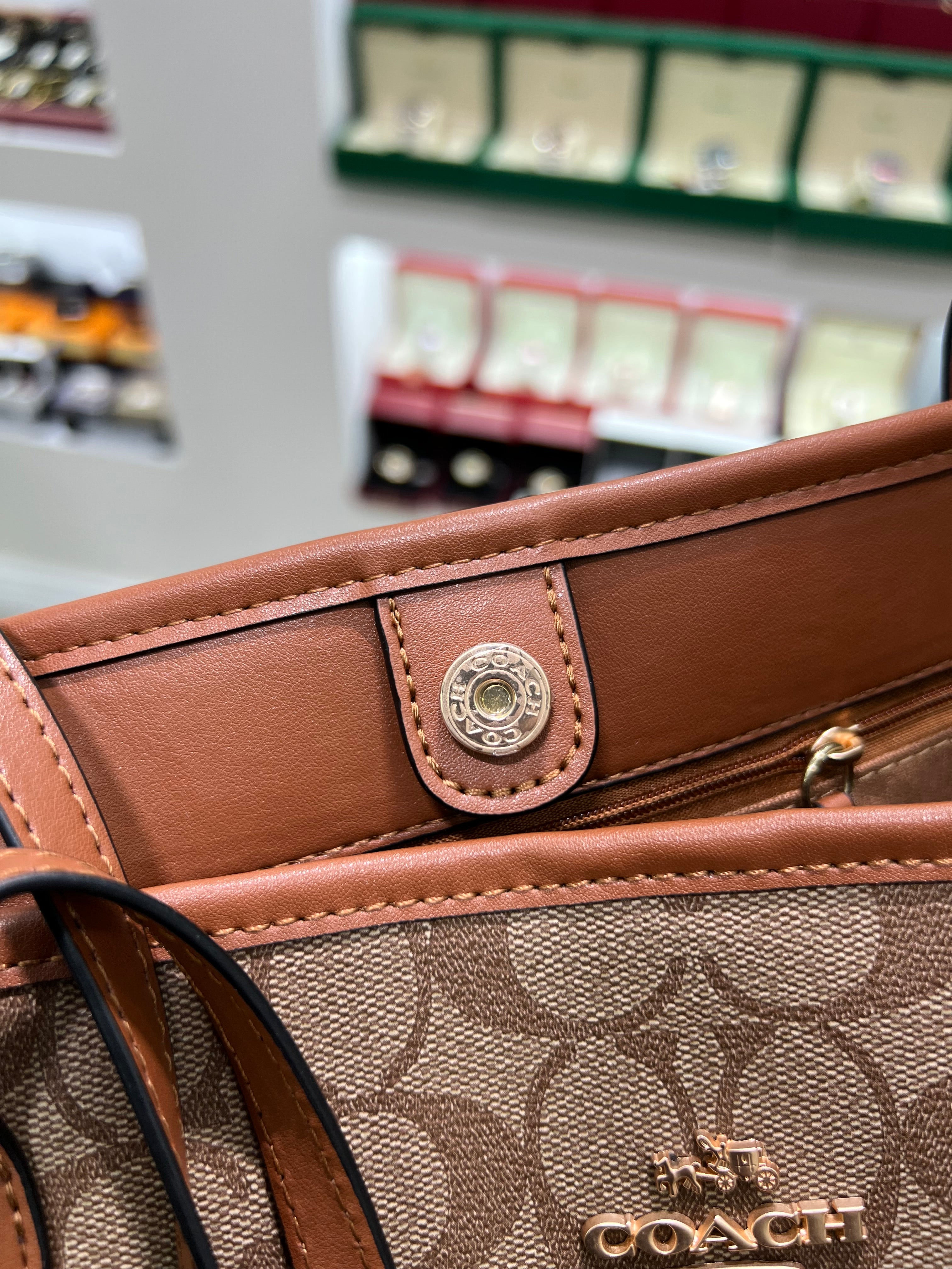 Cöach City Tote in Signature Canvas.