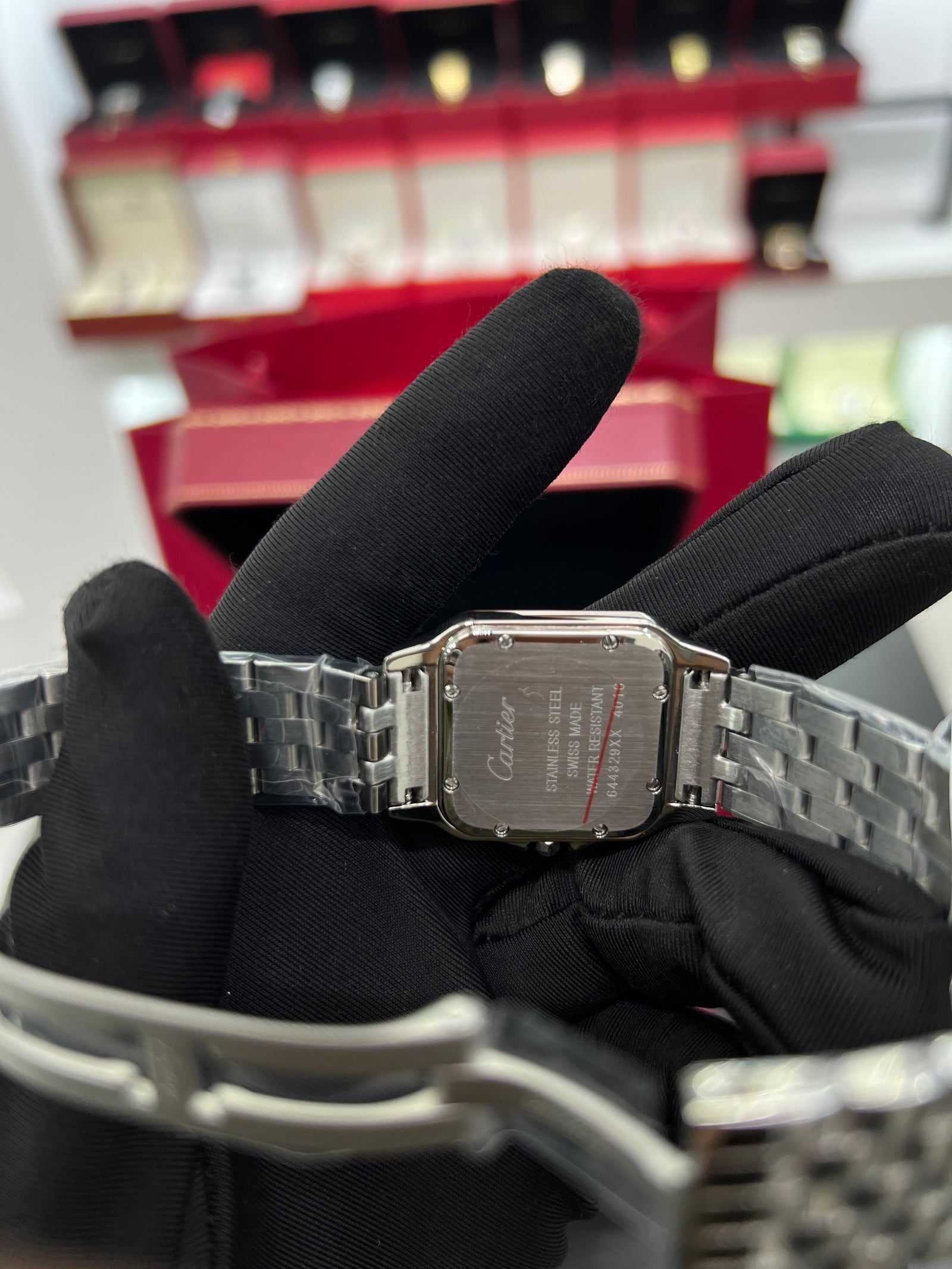 Panthère silver Model Stainless Steel