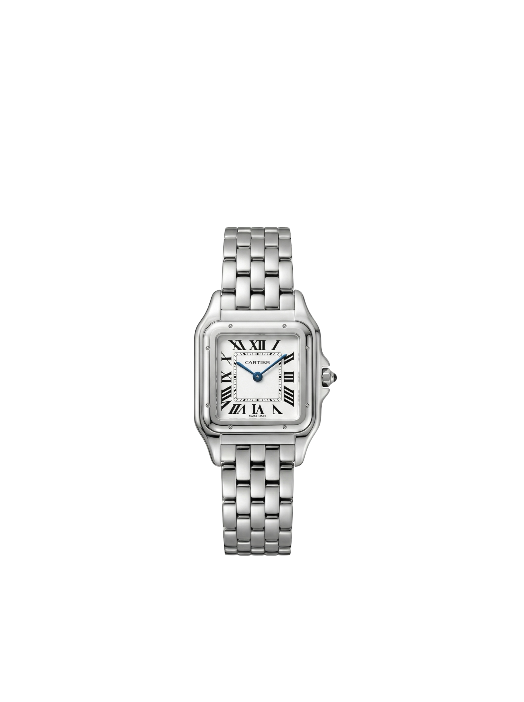 Panthère silver Model Stainless Steel