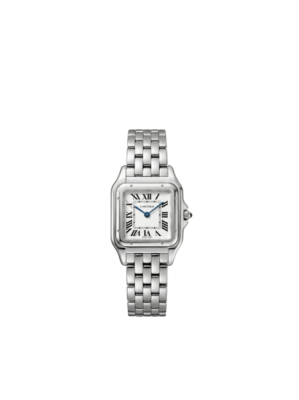 Panthère silver Model Stainless Steel