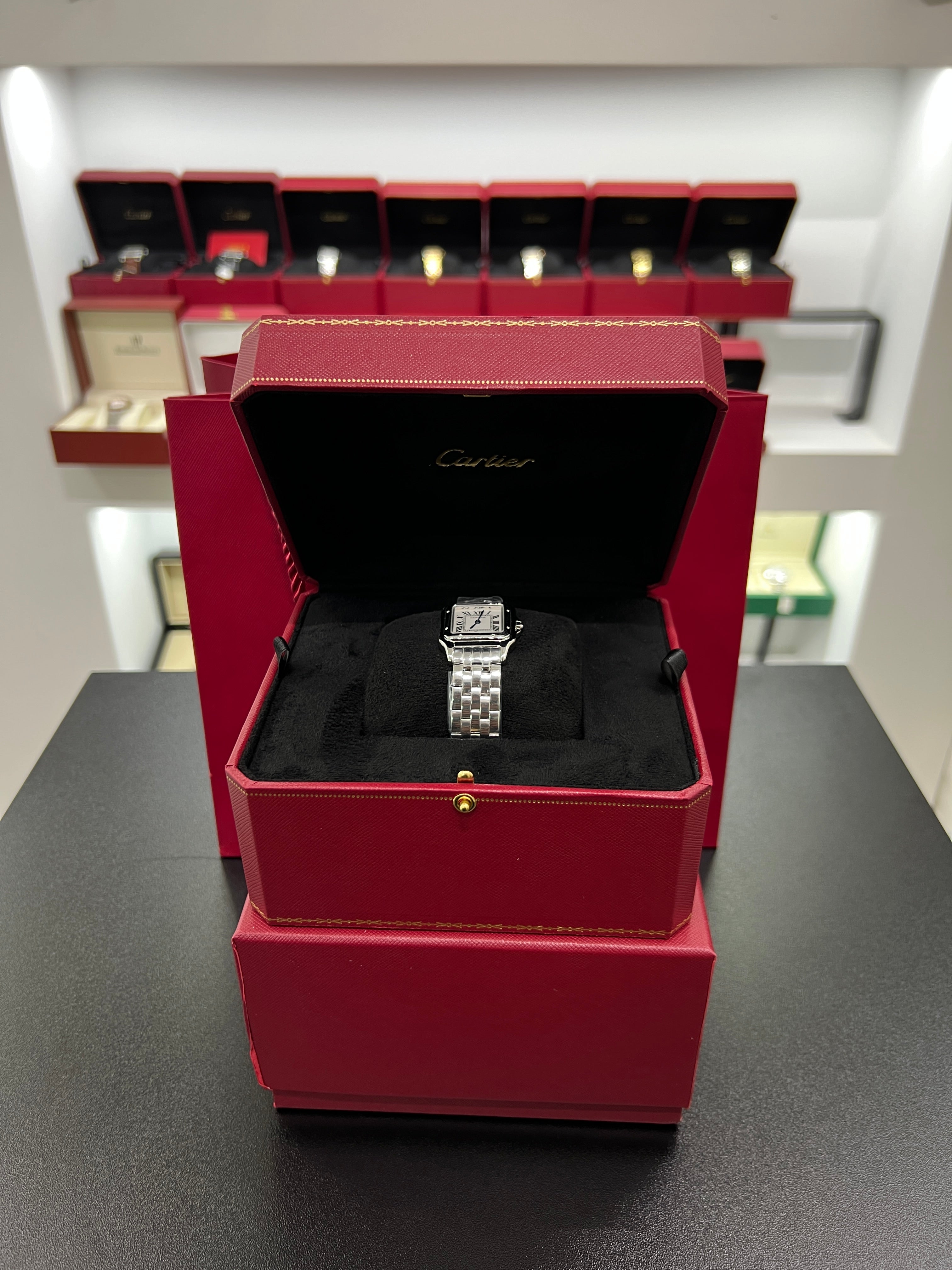 Panthère silver Model Stainless Steel