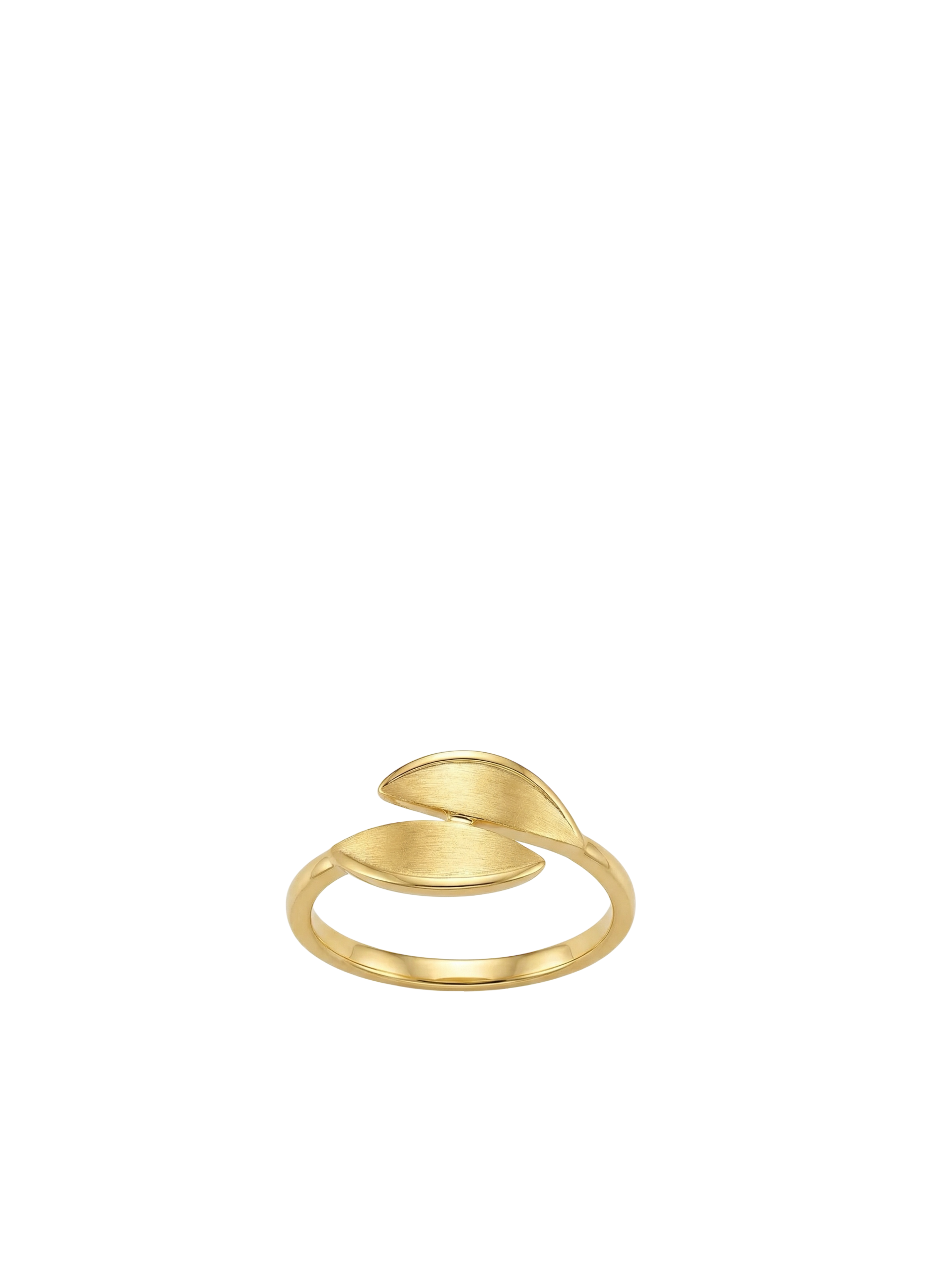 خاتم ورقتين الذهبيتين